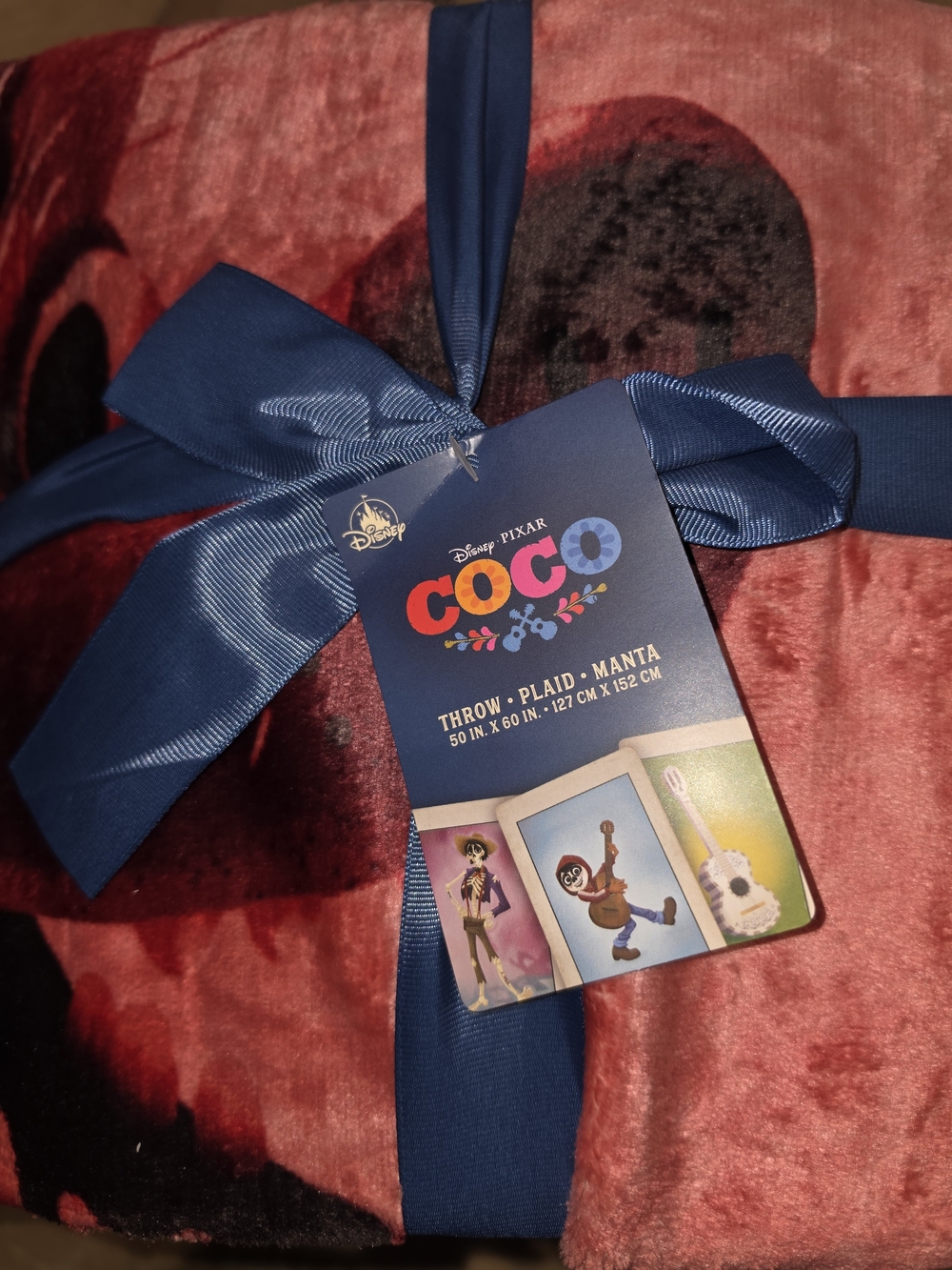 Disney Pixar Coco Plush Throw Blanket